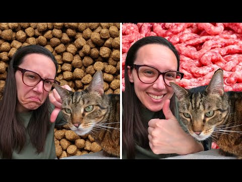 The best and worst of each cat food