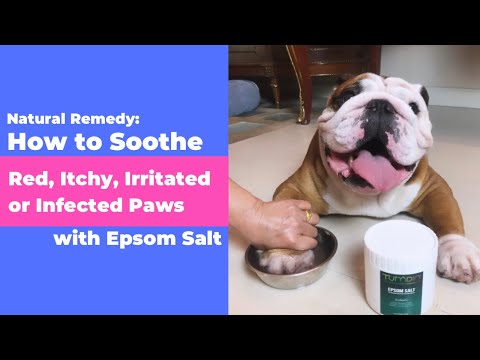 Natural Remedy: How to Soothe Red, Itchy, Irritated or Infected Paws with Epsom Salt