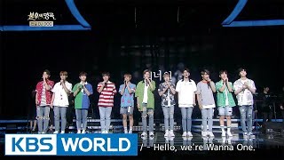 Download lagu Wanna One - Summer Story | 워너원 - 여름 이야기 [Immortal Songs 2 / 2017.09.09] mp3