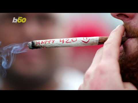 This Airport Is Allowing Passengers To Smoke Weed in Designated Areas