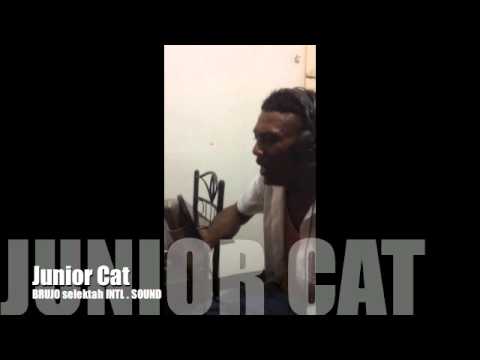 JUNIOR CAT - SPECIAL JINGLE, VIDEO OF DUBPLATE
