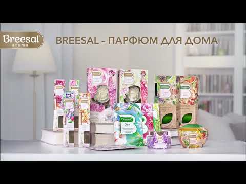 Миниатюра изображения товара Аромадиффузор Breesal Aroma Sphere Свежесть чувств
