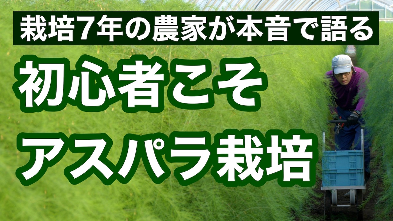【アスパラガス栽培】栽培初心者から7年｜やって良かったこと／うまくいかなかったこと