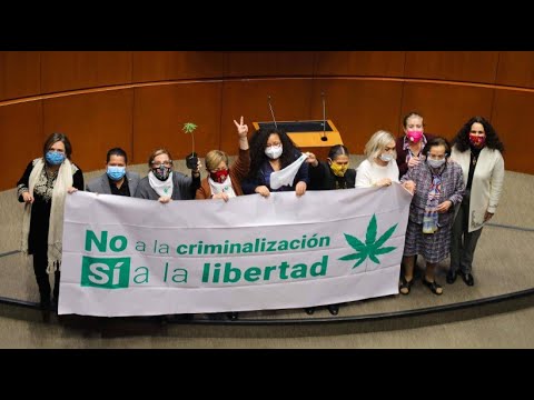 Mexikos Senat stimmt für Legalisierung von Marihuana