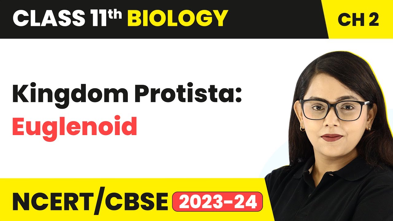 Kingdom Protista: Euglenoid - Biological Classification | Class 11 Biology Chapter 2 | NCERT/CBSE