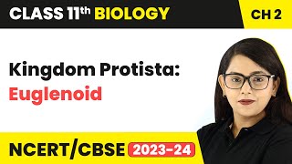 Kingdom Protista: Euglenoid - Biological Classification | Class 11 Biology Chapter 2 | NCERT/CBSE