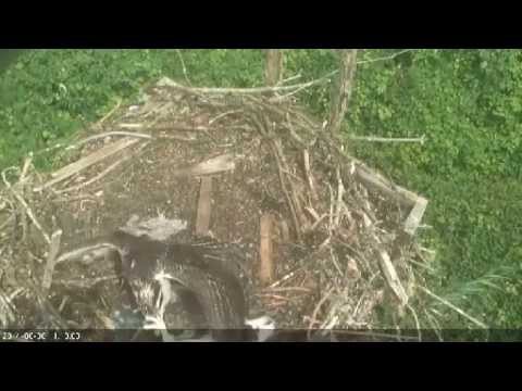 2014-08-06 WHOI 1120am 10min