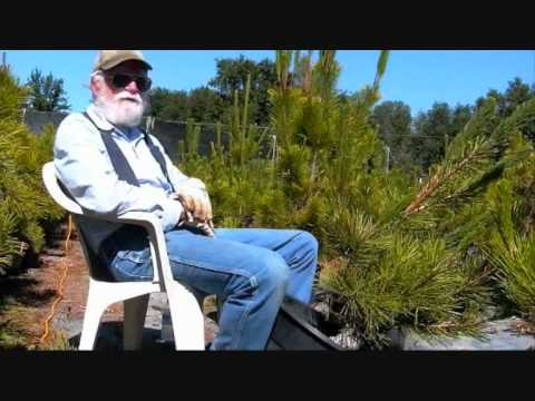 Cybertribe - The spirit of Earth continues