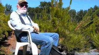 Cybertribe - The spirit of Earth continues