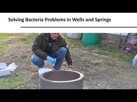 image-What happens if you drink water contaminated with E. coli?