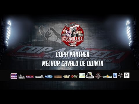 Cosmorama - SP / Melhor cavalo quinta