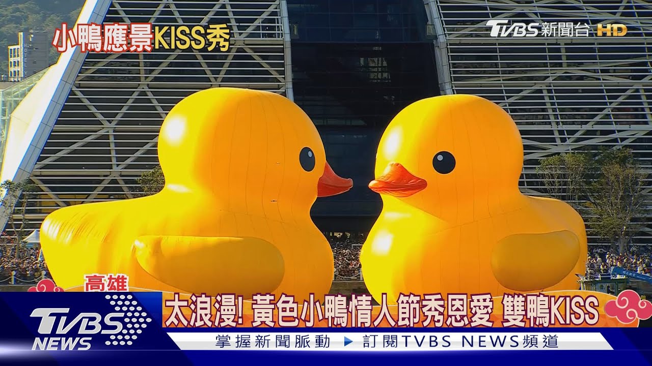 黃色小鴨放閃! 雙鴨借位KISS秀恩愛 盜版小鴨髮夾超夯