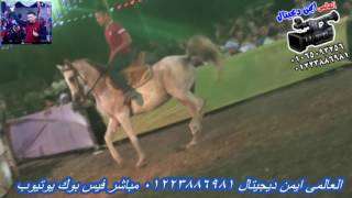 اتفرج على رقص الخيل على احلى مزامير حنة ابن الريس مجدى رزق الاخطبوط احمد صبرى و العالمى ايمن ديجيتال