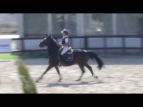 Sinan Metin Gürdoğan - Andorra - 14.11.2020 Siec Cup - Young Horses Tour Teşvik 115 cm İkincisi