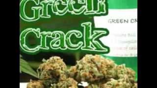 Young Dread - Green Crack