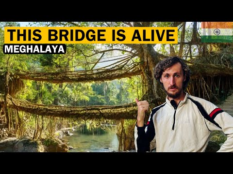 SHOULD THIS BE THE 8TH WONDER OF THE WORLD?