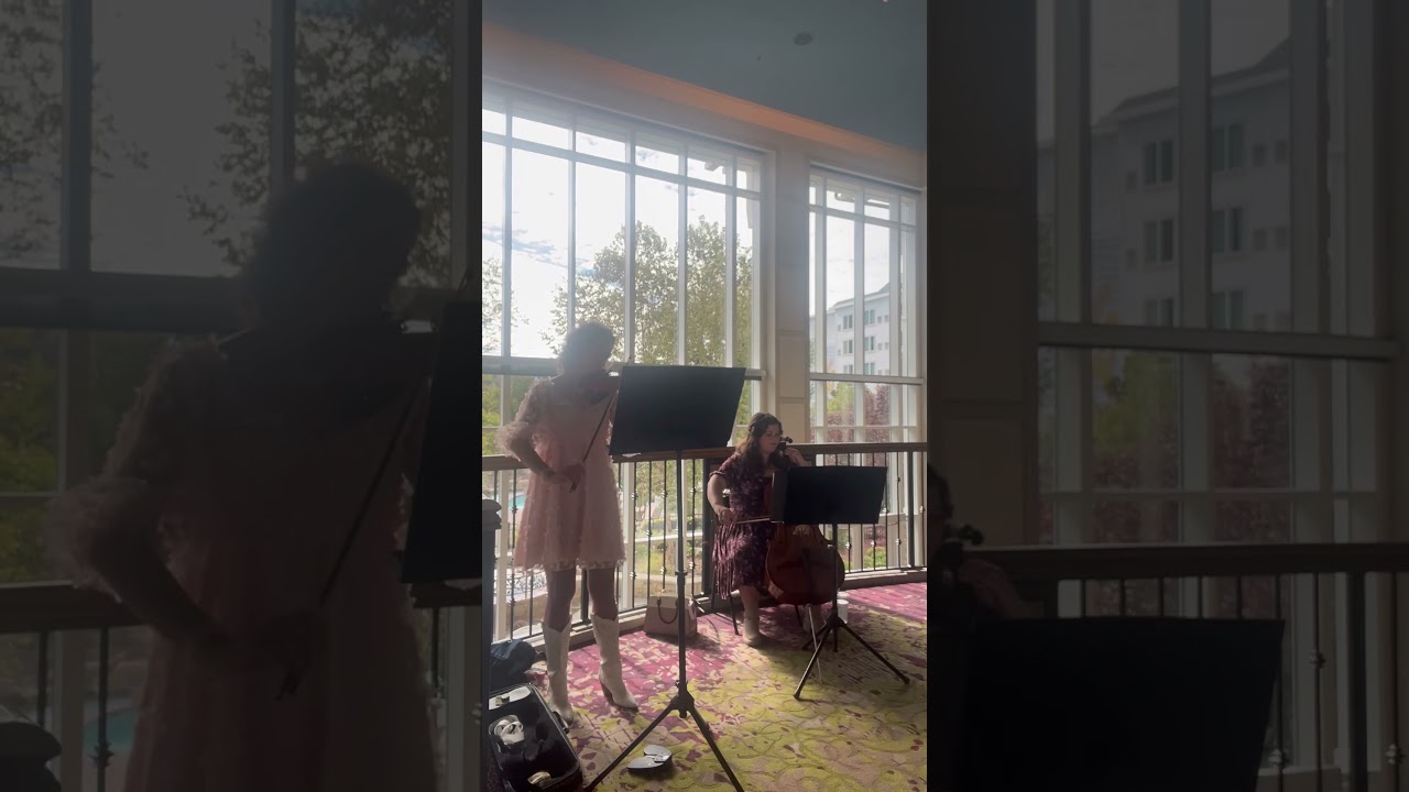 Promotional video thumbnail 2 for Anna Strings