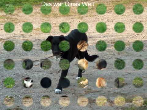 Der Hammer Mein Film 1. Film mit Gina W (ab 18 )