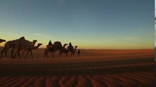 Sahara  white desert camel caravan 5