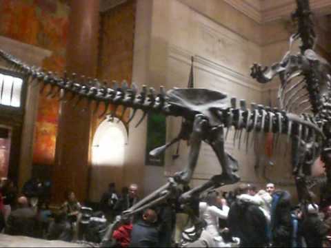 American Museum Of Natural History Wikipedia