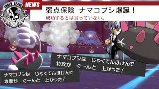 #11【ポケモン剣盾】ナマコブシを信じて戦うやつ