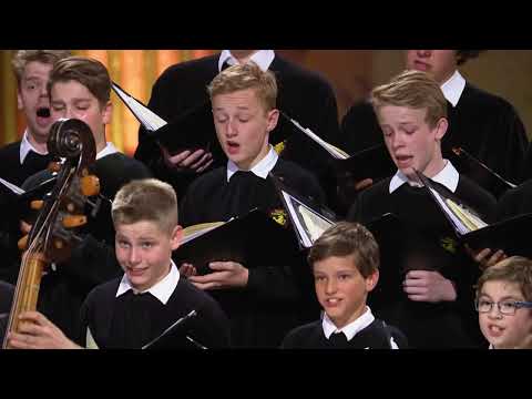 Abschlusskonzert der Internationalen Barocktagen Stift Melk 2017, Concentus Musicus Wien