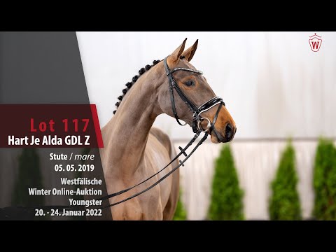 Online Winter-Auktion Lot 117 Hart Je Alda GDL Z Stute v. Halifax van het Kluizebos - Vigaro