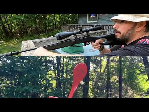 Do All Outdoors Airgun Auto Reset .177 cal Pellet Target