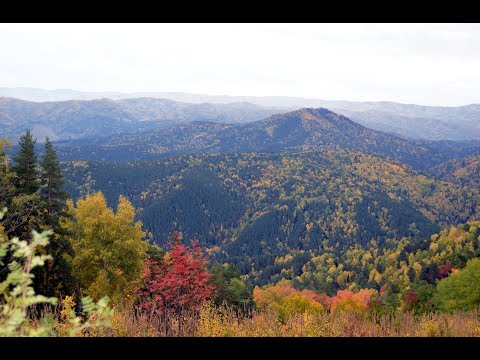 Белокуриха. Алтай. Belokurikha. Altai. 2018