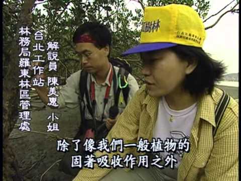 台灣世紀之旅-第030集 淡水紅樹林