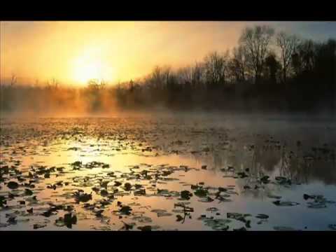 Laidback Luke   Gregor Salto   Mavis Acquah - Step By Step (Big Room Mix).flv