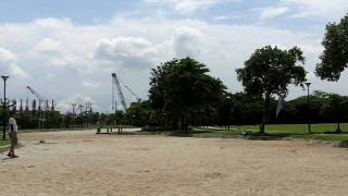 Rough and Tumble - L'Atelier Lynx Feather