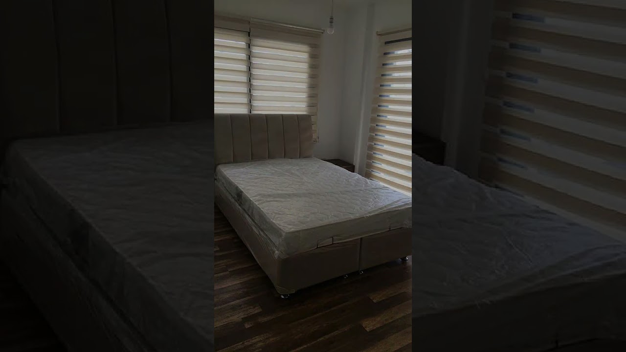 video image