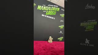Grogu on the Red Carpet