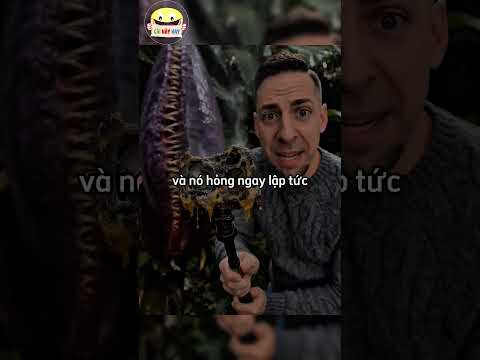 Nhìn này, tuyệt đối đừng chạm vào bông hoa này #shortsvideo #shorts