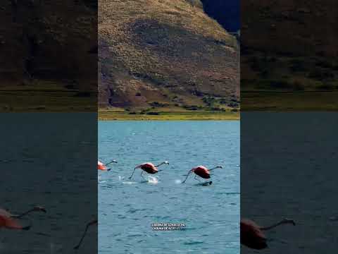 Circuito 4 lagunas Acomayo- Cusco 🇵🇪