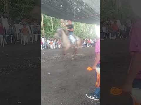 Feria El Asintal Retalhuleu