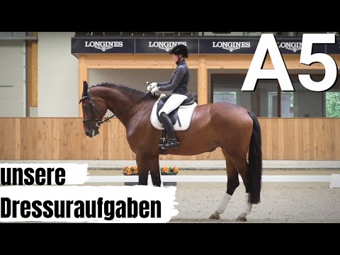 Der Klassiker: Die A 5 (Aufgabenheft 2018)