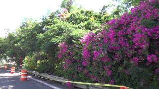 preview picture of video 'Driving Though: El Vigia in Ponce Passing Castillo Serrallés and Cruceta del Vigía'