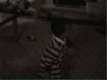 Dizmo Dancing