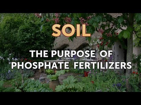 The purpose of phosphate fertilizers