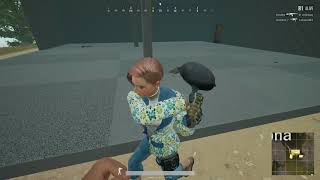 [PUBG Experimental Test Server] Loop De Loop Pan-Avoidance