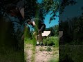 Складаний стілець Quest QU001 бежевий