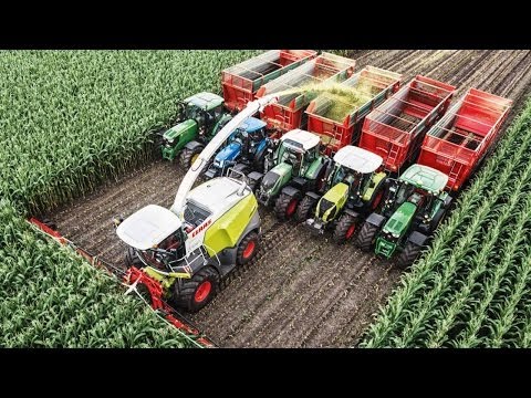 Chopping 20 rows of corn with Kemper Trekkerweb Nederlandse versie