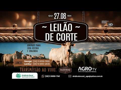 LEILÃO MISTO - SINDICATO RURAL DE SÃO GONÇALO DO ABAETÉ