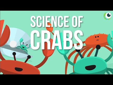 , title : 'Beautiful Science - The Science of Crabs'
