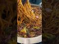 Como Fazer Yakisoba Misto Fácil E Descomplicado Yakisoba