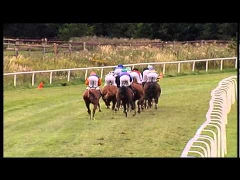 23.07.2011 Bad Harzburg 7.Rennen Preis der Stadtwerke Bad Harzburg Agl.II (C) 1.850 m