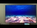T V