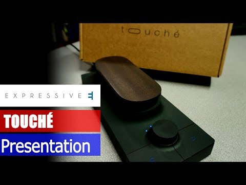 Expressive E Touché MIDI/CV/USB Control Surface  - Black/Natural image 8